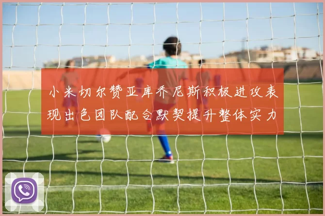 小米切尔赞亚库乔尼斯积极进攻表现出色团队配合默契提升整体实力