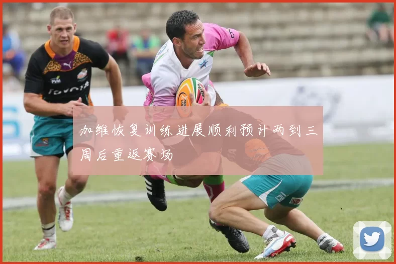 加维恢复训练进展顺利预计两到三周后重返赛场